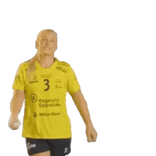 Rema1000Ligaen Sticker by Norsk Topphåndball