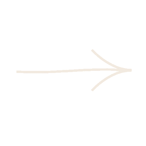 Arrows Sticker by Chapters