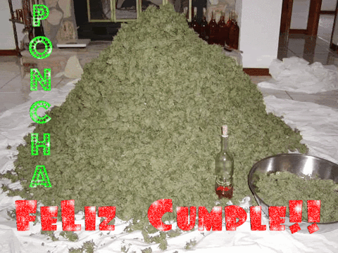 ganja GIF