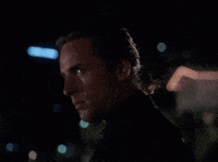 Translate Miami Vice GIF by Goldmaster