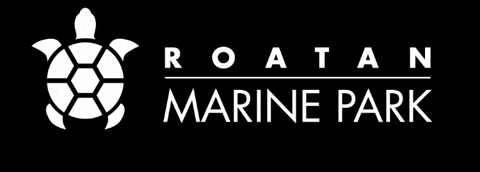 Rmp GIF by Roatan Marine Park