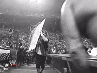 wwe sports wwe wrestling summerslam GIF