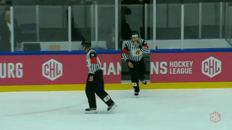 Wave Off Referee GIF by Champions Hockey League