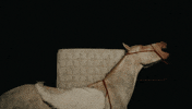 Mc Anitta Funk GIF