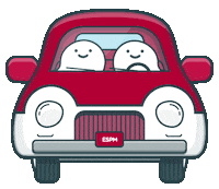 carpool espm Sticker by Vai de Carona