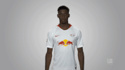 rb leipzig GIF by Bundesliga