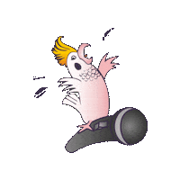 Karaoke Leipzig Sticker by KakaduLeipzig