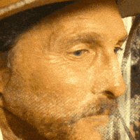 Matthew Mcconaughey Looks GIF by Black Bear Pics