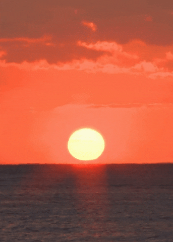 ocean sunset GIF by Head Like an Orange