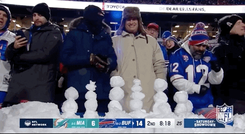 Buffalo Bills Football GIF by NFL