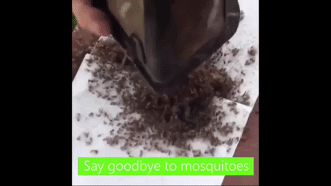 jillmann giphygifmaker mosquitokiller GIF