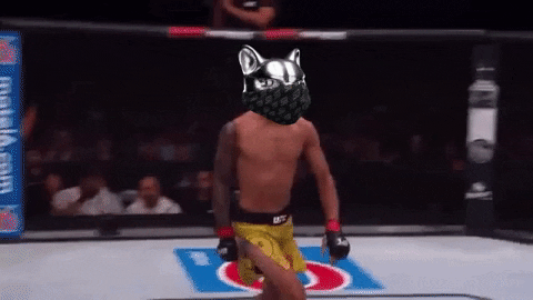 Shiba GIF by SHIBABETS.GG