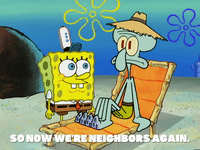 season 5 new digs GIF by SpongeBob SquarePants