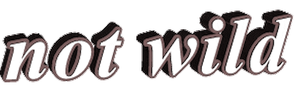 3d words Sticker by AnimatedText