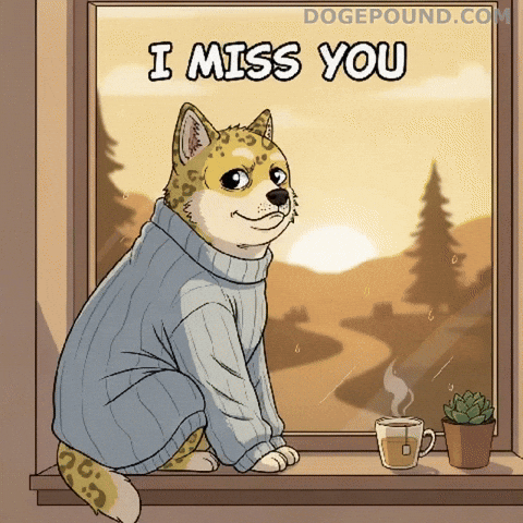 Sad Miss You GIF by Doge Pound