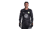 Pavao Pervan No Sticker by VfL Wolfsburg