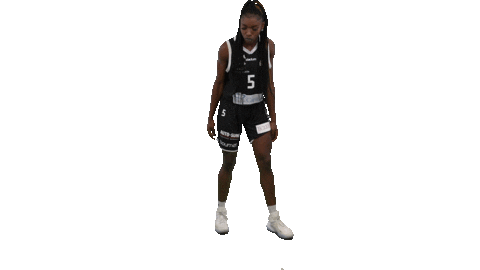 Naisten Korisliiga Sticker by Basket_fi