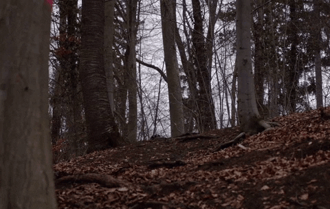 Mtb Whip GIF by Mountainbike Racingteam