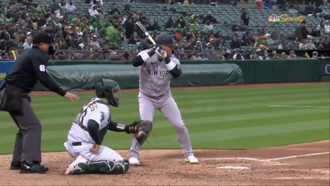 tesstass giphyupload GIF