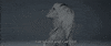 take care rihanna GIF