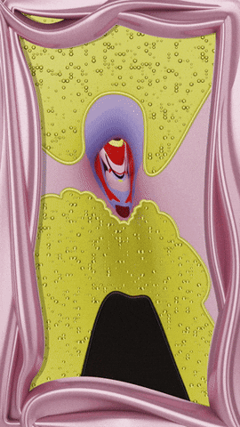 Ls528 giphyupload trippy psychedelic avatar GIF