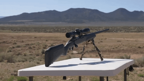 AmericanFirearms giphygifmaker gun rifle GIF