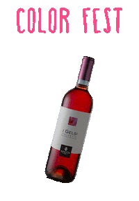 Vino Sticker by Color Fest