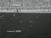 Beira-Rio Colorado GIF by Sport Club Internacional