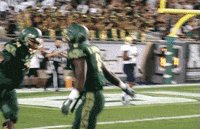 high five football GIF by USF Athletics