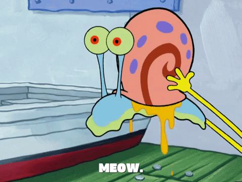 season 5 new digs GIF by SpongeBob SquarePants