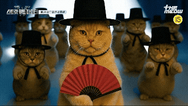 틴더스 GIF