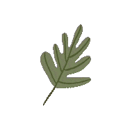 Verde Fern Sticker