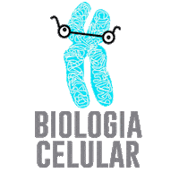 institutobiomed medicina med institutobiomed instituto biomed Sticker