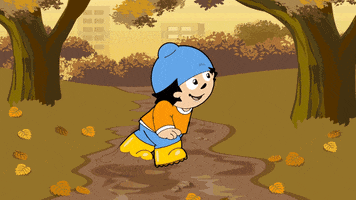 Herbst Kürbis GIF by ZDF