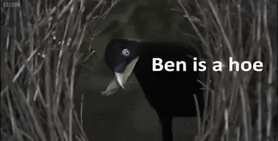 karlapinkfireprince giphygifmaker lemme smash ben is a hoe GIF