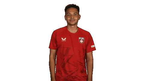 Fc Kaiserslautern Football Sticker by Bundesliga