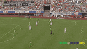 world cup soccer GIF by Fusion