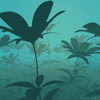 pislices loop 3d trippy flower GIF