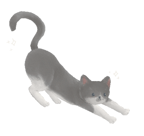 Tuxedo Cat Sticker