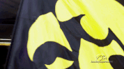 GIF by University of Iowa Hawkeyes Athletics