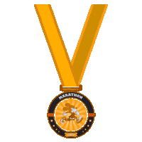 walt disney world marathon Sticker by Disney Sports