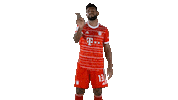 Football No Sticker by FC Bayern Munich