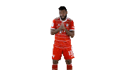 Football Sport Sticker by FC Bayern Munich