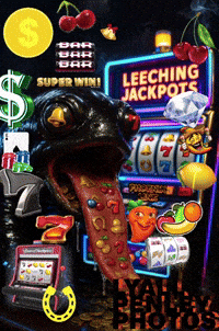 Scout Gambling GIF by lyallpenleyphotos