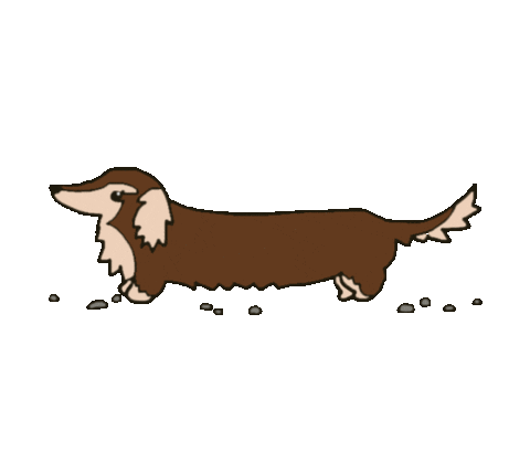 zesekace giphyupload zesekace jezevcik grunclovic Sticker