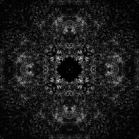 GIF by Leo Pyrata