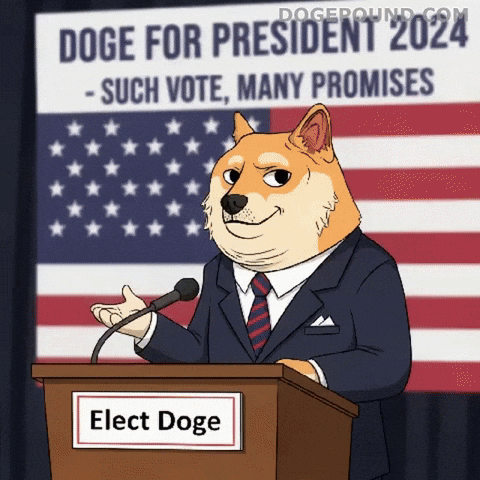 Abigail Spanberger Usa GIF by Doge Pound