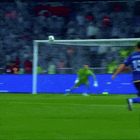 Goalkeeper Galatasaray GIF