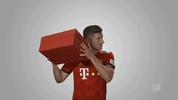 bestow fc bayern GIF by Bundesliga
