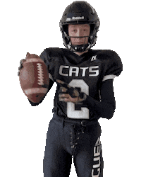 PragueBlackCats americanfootball pbc pbp tacklefootball Sticker